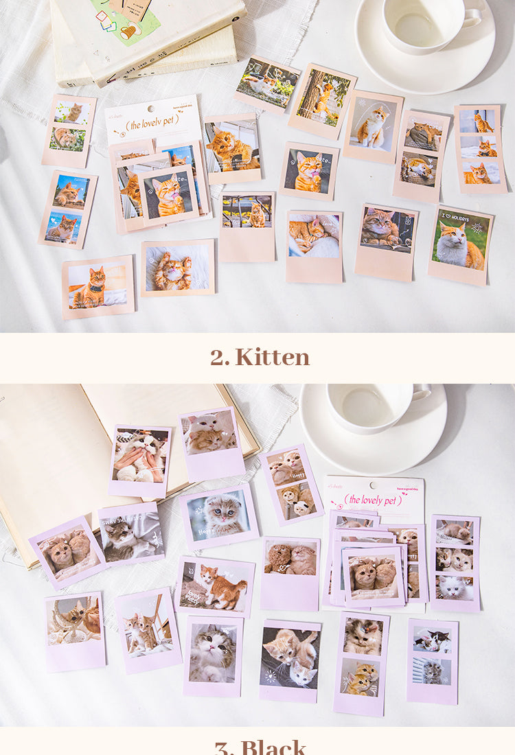5Cute Pet Photo Stickers - Cats, Dogs5
