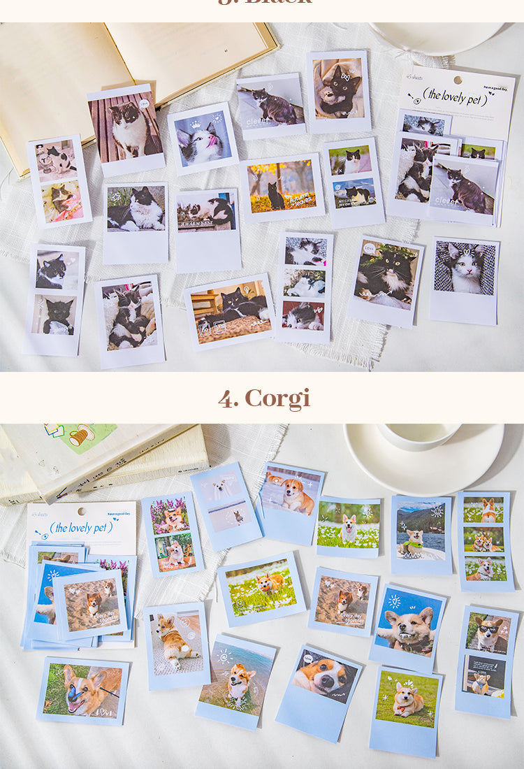 5Cute Pet Photo Stickers - Cats, Dogs6