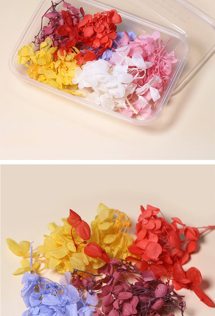 5Decorative Boxed Dried Preserved Flowers16