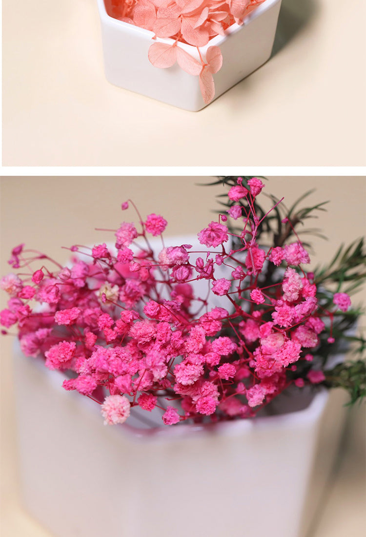 5Decorative Boxed Dried Preserved Flowers19