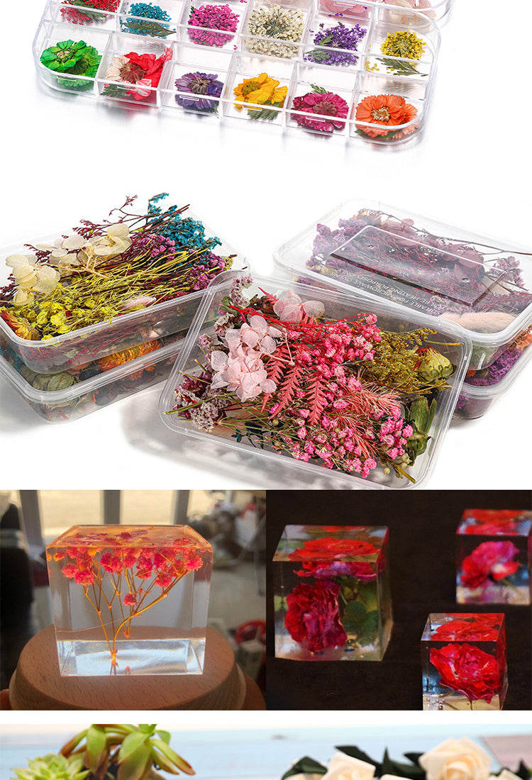 5Decorative Boxed Dried Preserved Flowers4