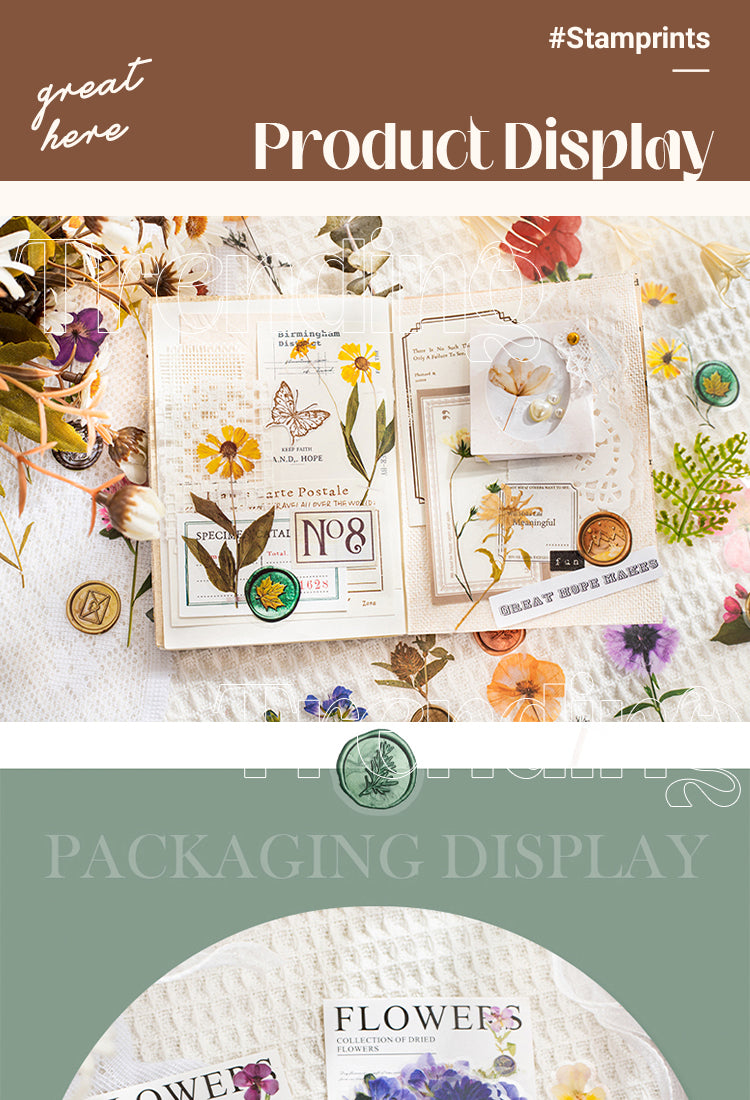 5Dried Flower Collection Wax Seal Flower Plant Sticker Pack1