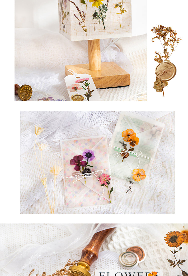 5Dried Flower Collection Wax Seal Flower Plant Sticker Pack4