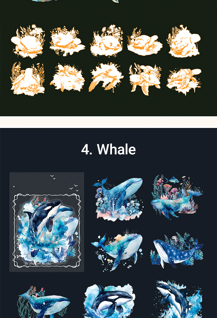 5Exquisite The Sea Themed Shell Light PET Sticker7