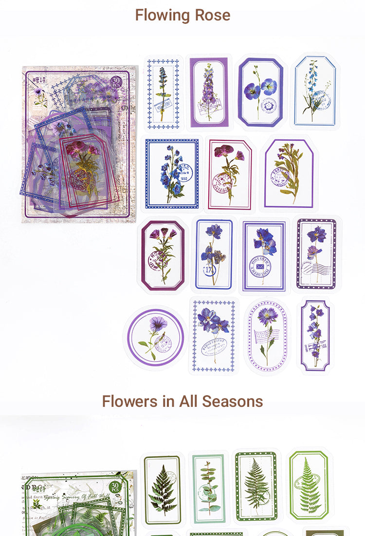 5Flowers in the Fog Series Retro Plant Frame PET Sticker Pack5