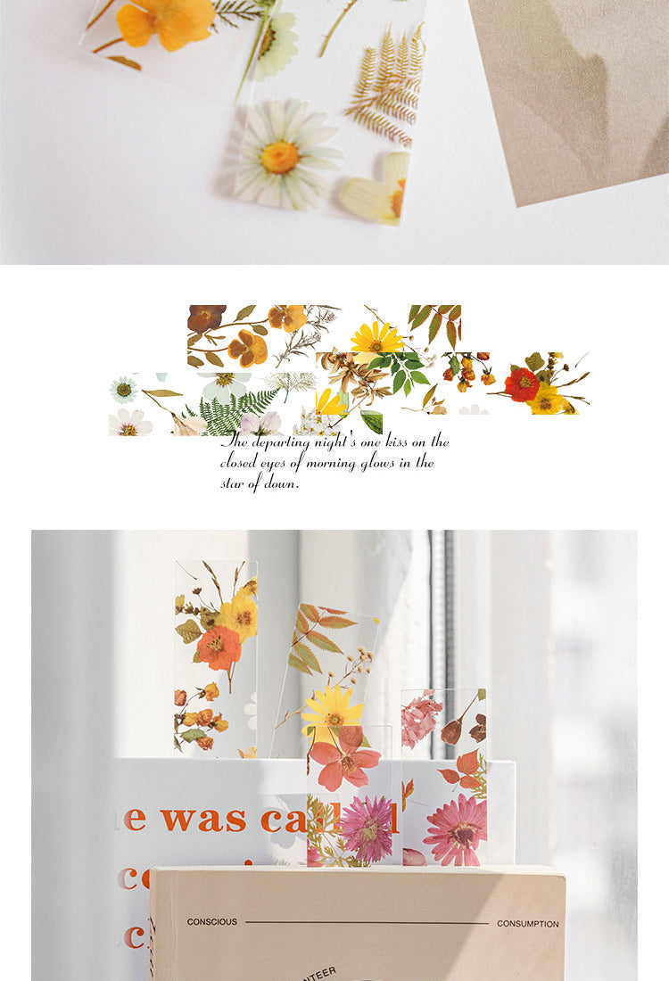 5Four Seasons Travel Series Translucent Plant PET Bookmarks5