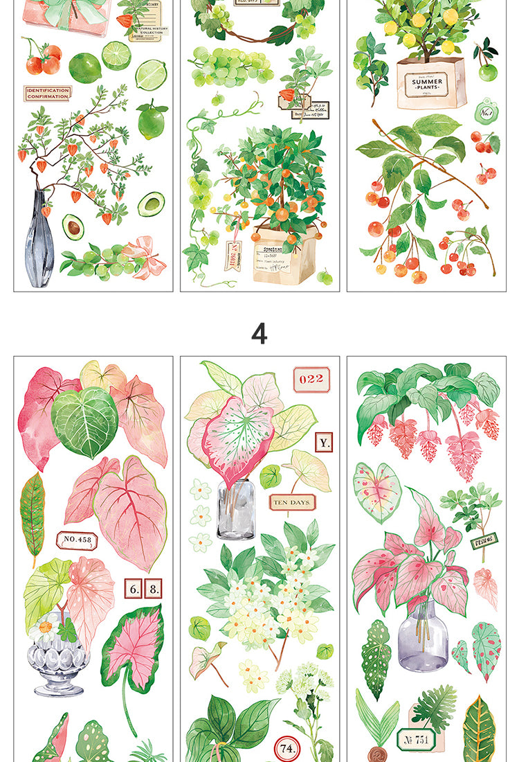 5Fresh Greenery PET Stickers - Fruit, Leaf, Cactus, Plant10