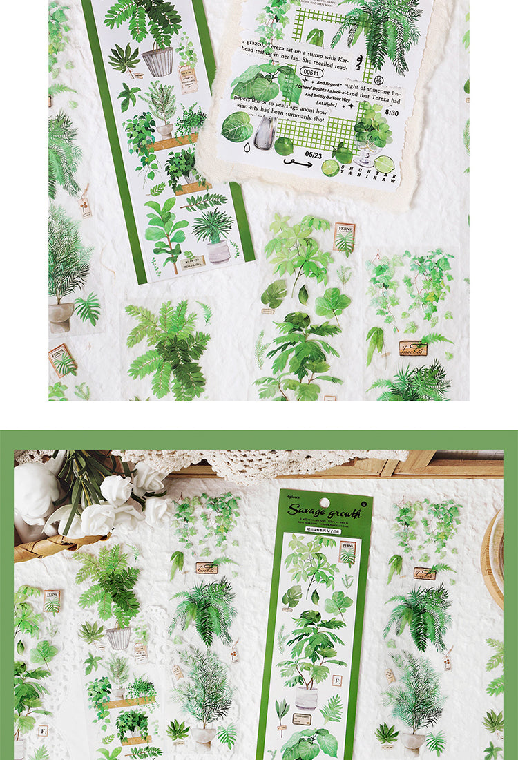 5Fresh Greenery PET Stickers - Fruit, Leaf, Cactus, Plant3