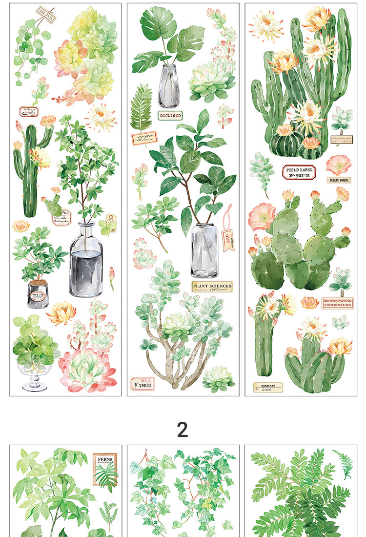 5Fresh Greenery PET Stickers - Fruit, Leaf, Cactus, Plant8