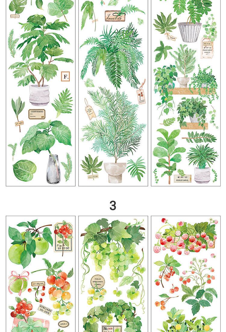 5Fresh Greenery PET Stickers - Fruit, Leaf, Cactus, Plant9