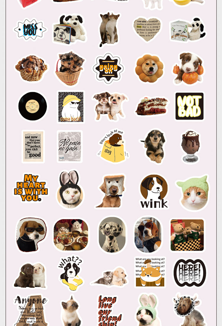 5Household Daily Coated Paper Stickers12