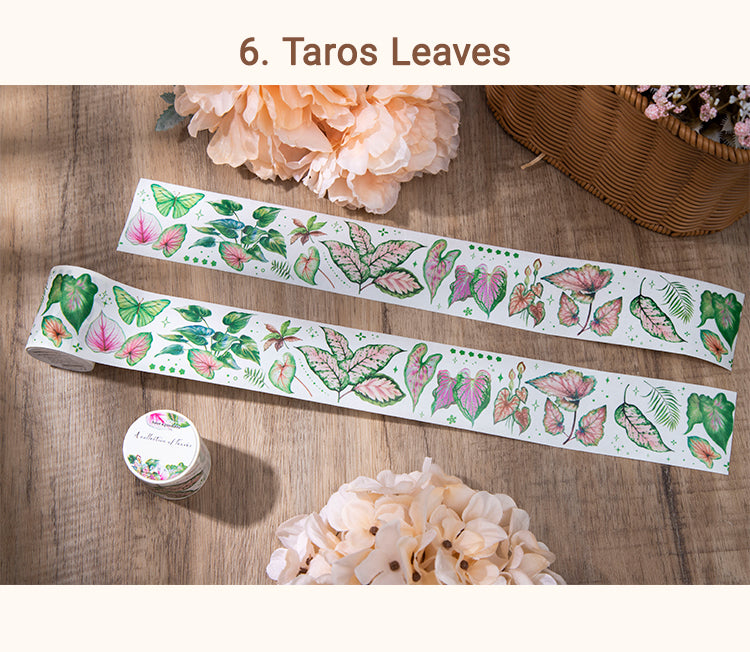 5Leaf Collection Series Plant Washi Tape10