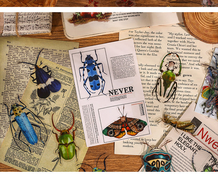 5Natural History Museum Insect and Plant PVC Stickers7