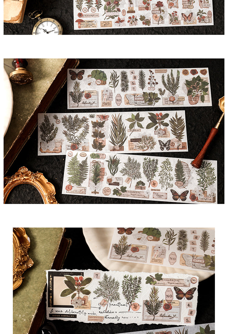 5Natural Landscapes Washi Stickers5