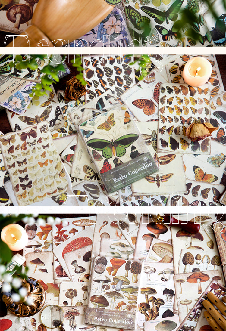 5Old Memoir Scrapbook Paper - Manuscript, Butterfly, Mushroom2