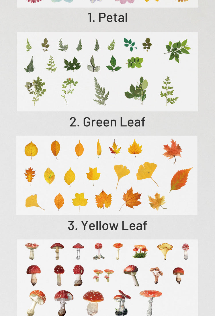 5PET Decorative Sticker - Leaf, Petal, Stationery, Mushroom, Ribbon11