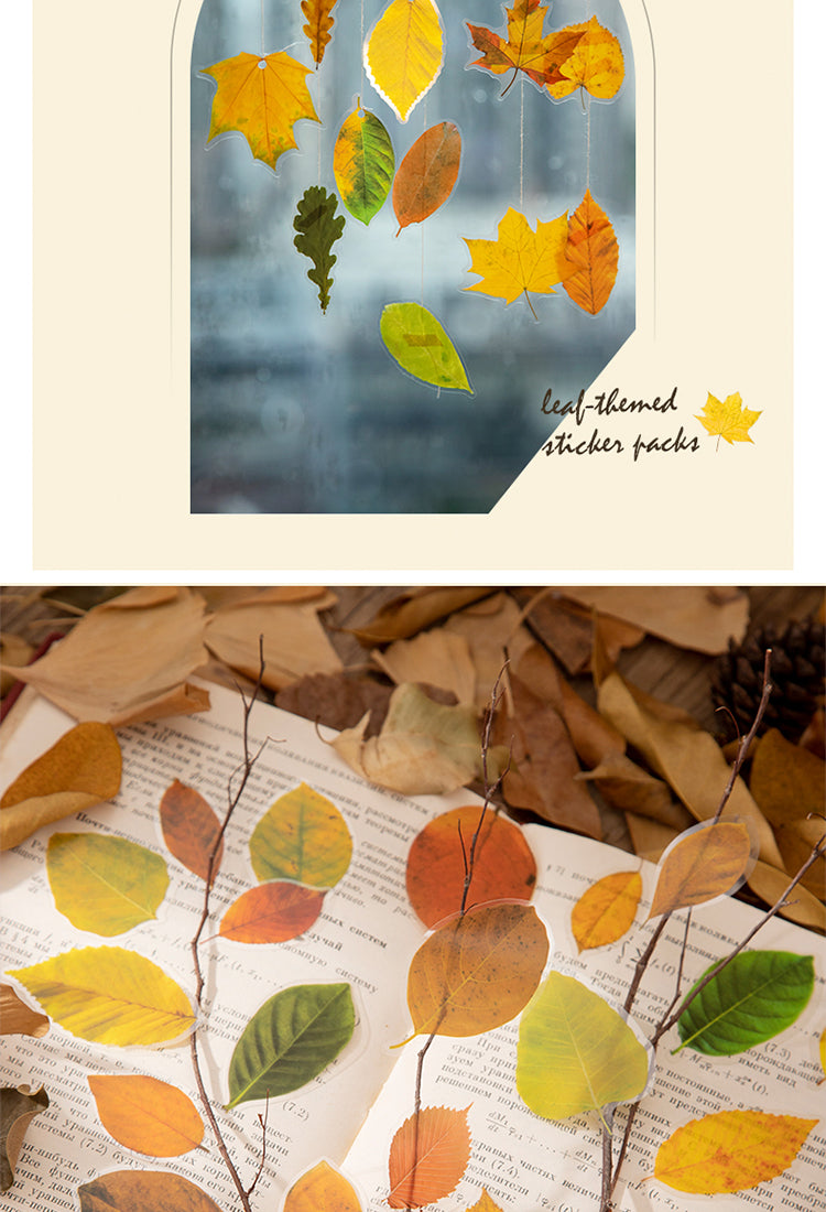5Seasons of Leaves PET Decorative Stickers2