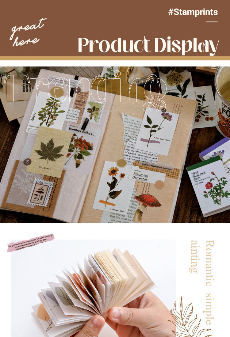 Simple Botanical Decorative Note Paper - Tracing & Lightweight