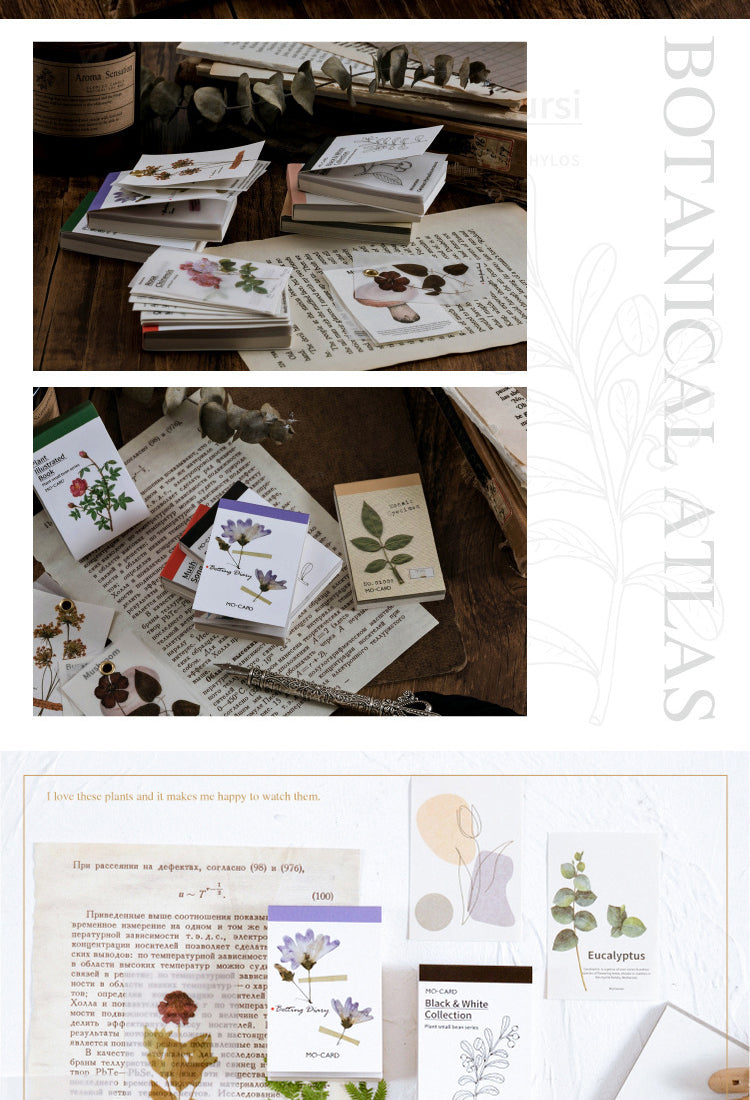 Simple Botanical Decorative Note Paper - Tracing & Lightweight