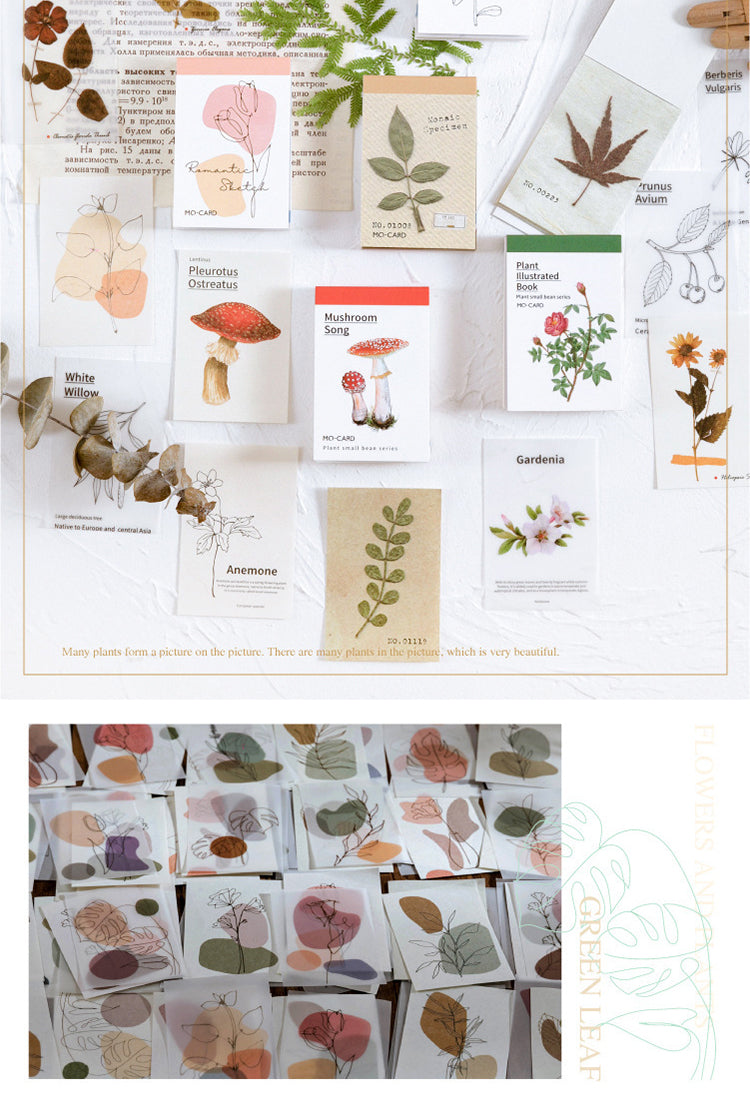 5Simple Botanical Decorative Note Paper4
