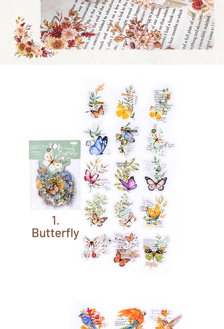 5Small Exquisite Nature Leaf Series PET Sticker14