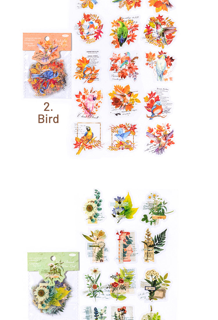 5Small Exquisite Nature Leaf Series PET Sticker15