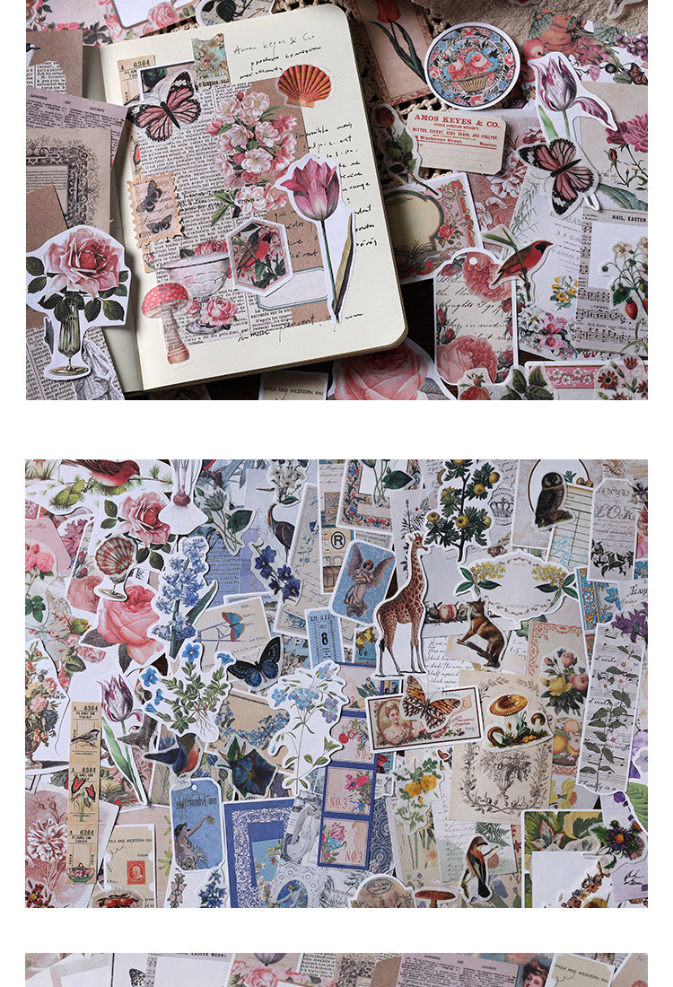 5Vintage Botanical Floral Sticker Paper Collection6