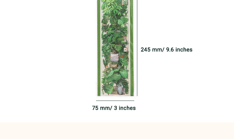 6Fresh Greenery PET Stickers - Fruit, Leaf, Cactus, Plant2
