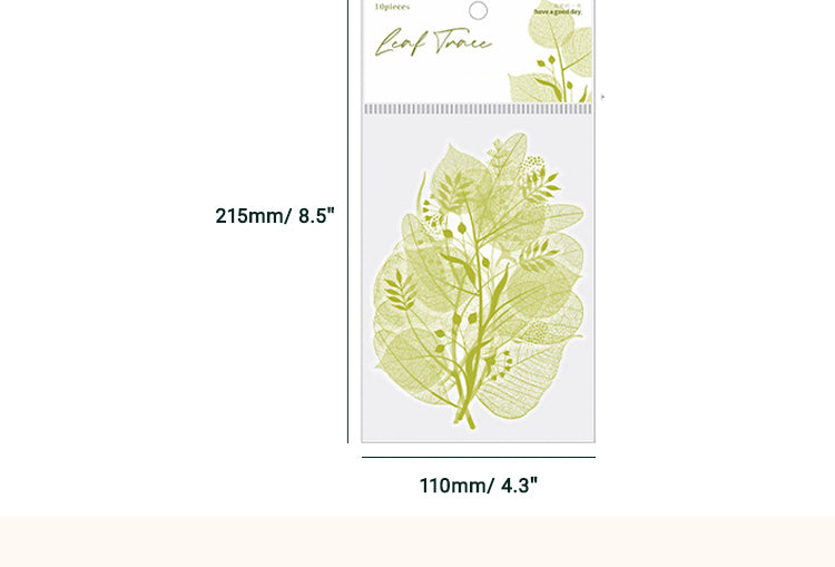 6Leaf Veins Series Plant Stickers2