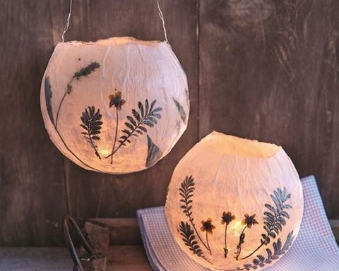 Paper Lantern & Paper Craft