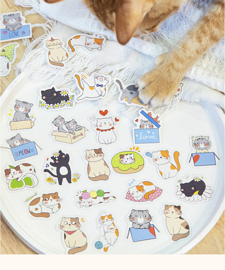 1Kitten League Cute Cartoon Pet Decorative Sticker