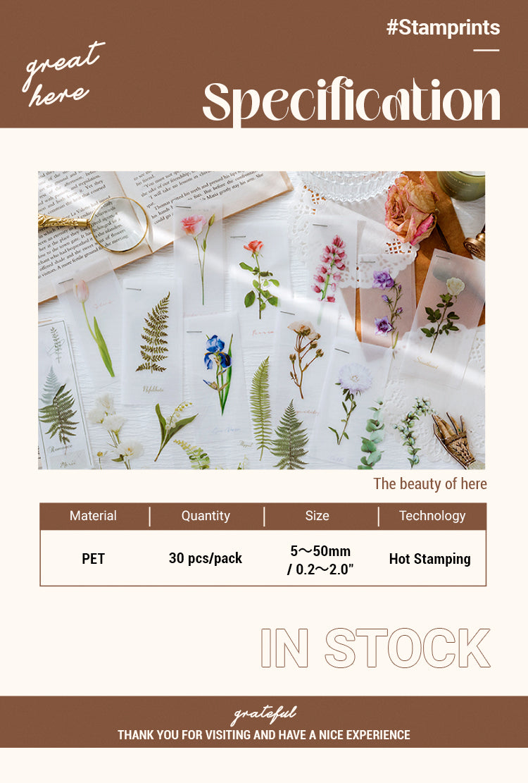2Specification of Vintage Literary Floral Plant PET Sticker