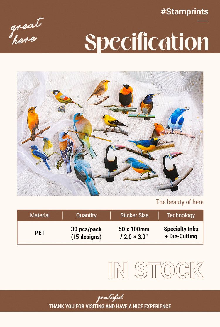 2Vintage Colorful Birds PET Sticker Pack