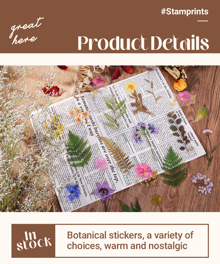 3Characteristics of Wild Field Flower Plant PET Sticker Pack1