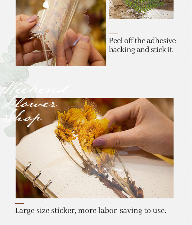 Characteristics of Translucent Vintage Dried Flowers PET Sticker-2