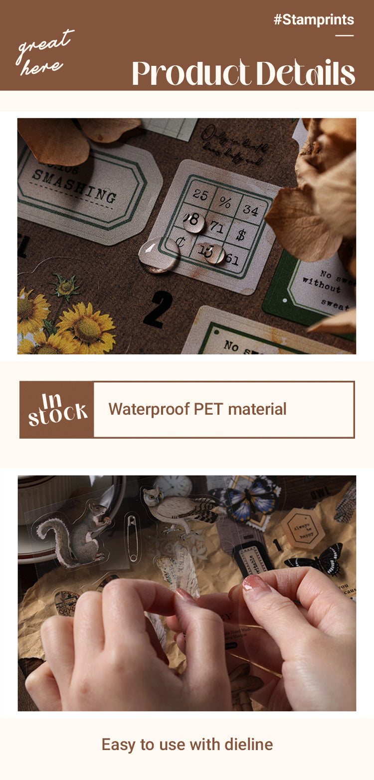 Characteristics of Vintage Clear Plant PET Sticker Book