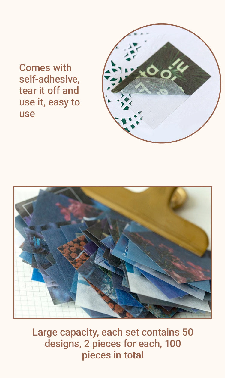 4Details of Retro Plant Scenery Washi Sticker Pack1