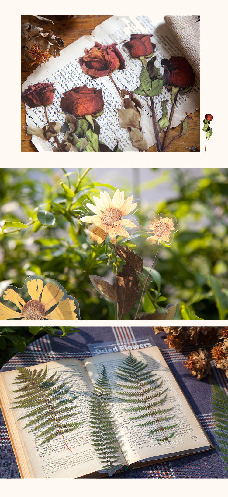 Details of Translucent Vintage Dried Flowers PET Sticker