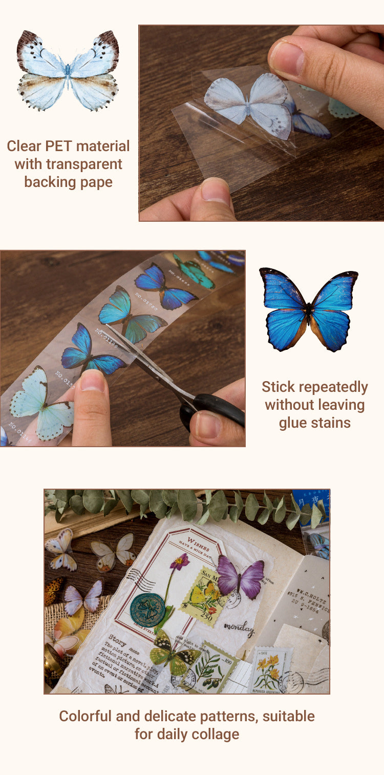 Details of Vintage Butterfly Collectors PET Sticker