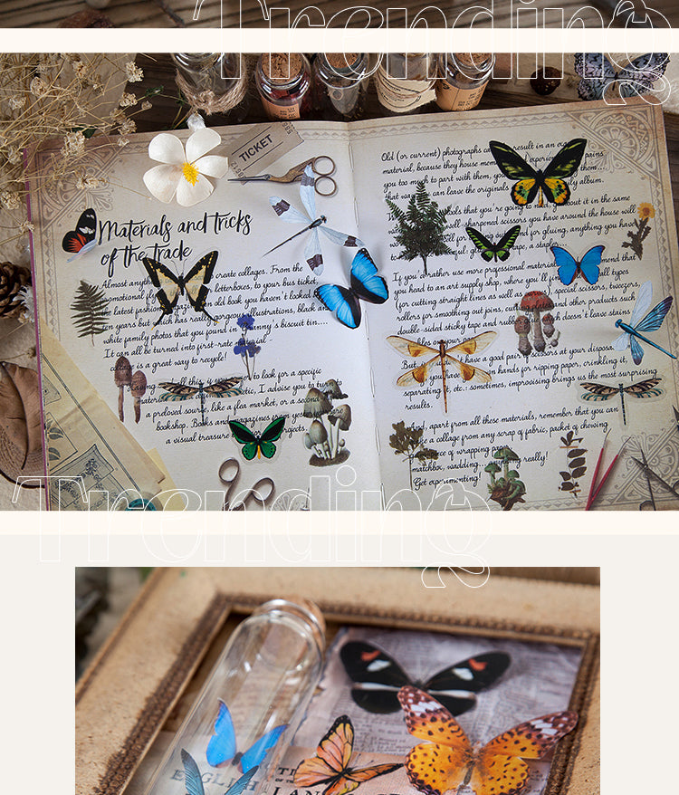 5Butterfly Wings Specimen PET Sticker Pack3