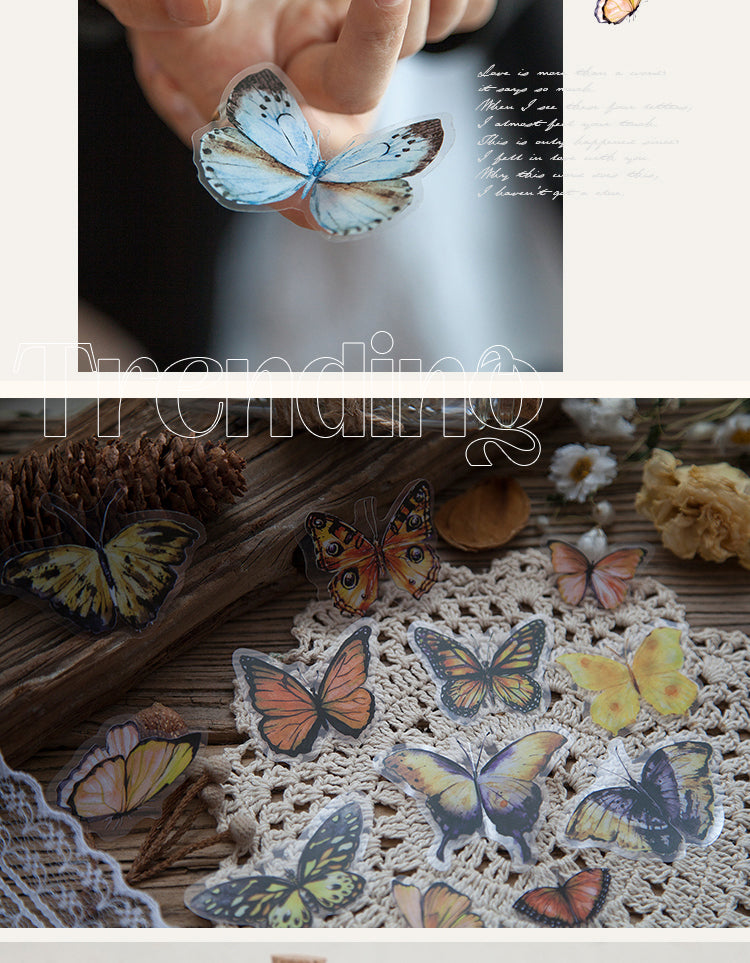 5Butterfly Wings Specimen PET Sticker Pack5