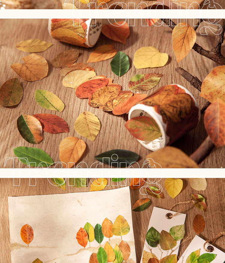 5Creative Fallen Leaves Decorative Washi Tape Sticker3