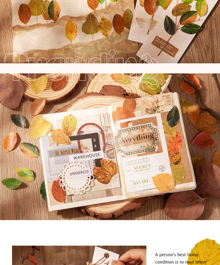 5Creative Fallen Leaves Decorative Washi Tape Sticker4
