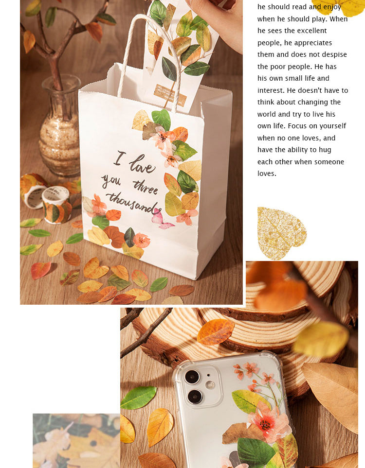 5Creative Fallen Leaves Decorative Washi Tape Sticker5