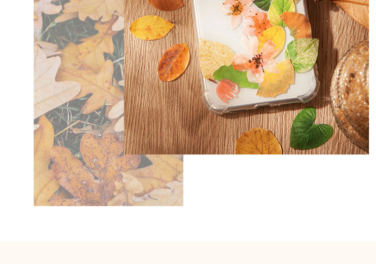 5Creative Fallen Leaves Decorative Washi Tape Sticker6