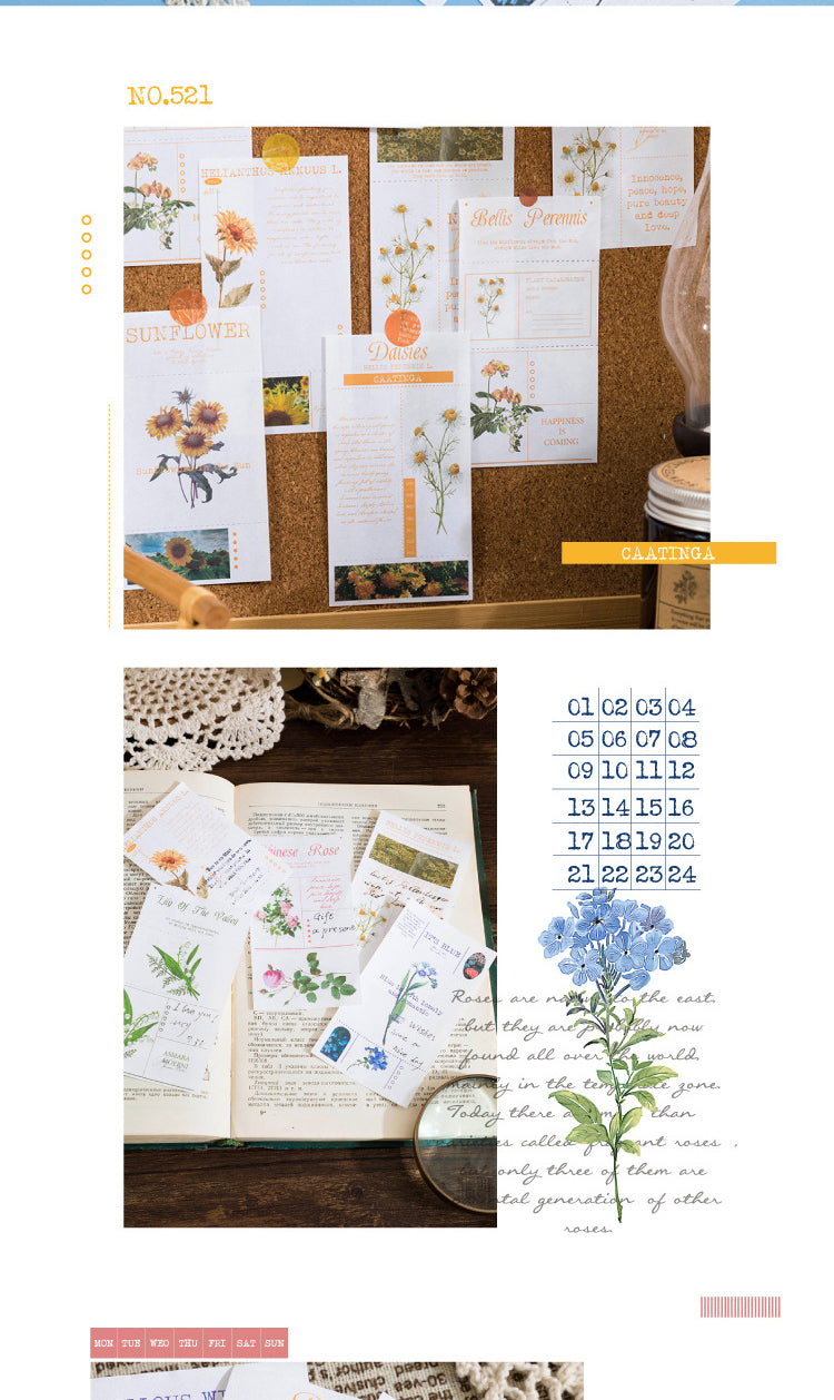 5Flower Notes Series Material Paper Notepad4