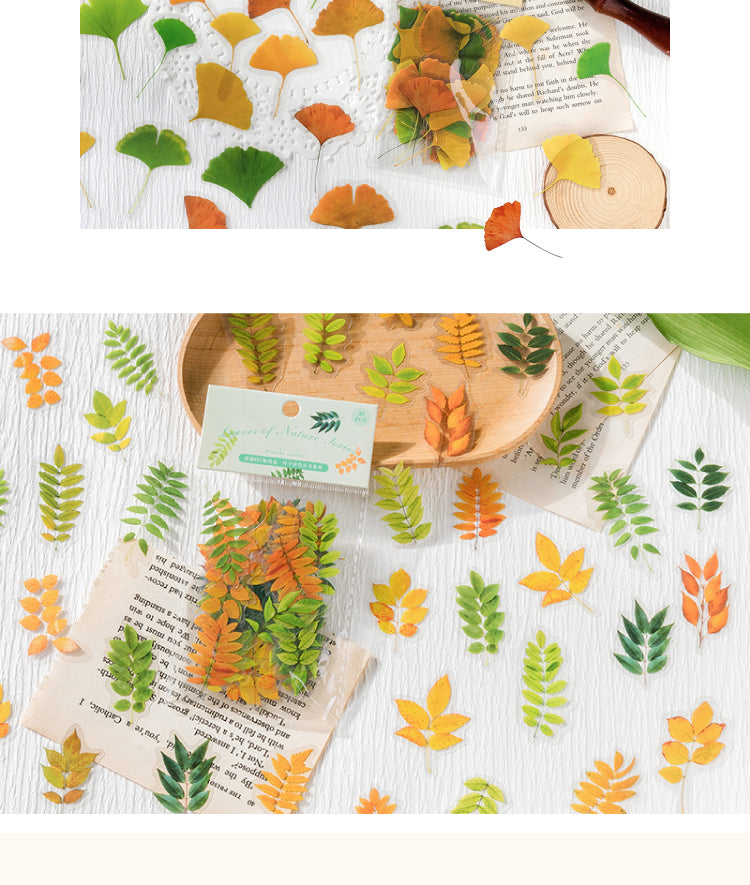 5Nature Series Plant Leaves PET Sticker Pack6