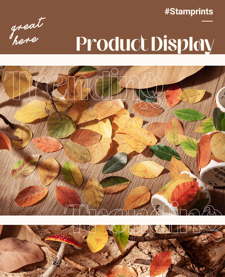 5Product Display of Creative Fallen Leaves Decorative Washi Tape Sticker1