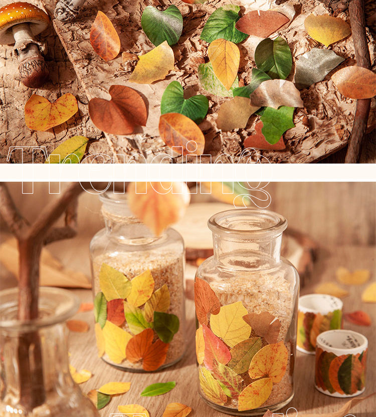 5Product Display of Creative Fallen Leaves Decorative Washi Tape Sticker2