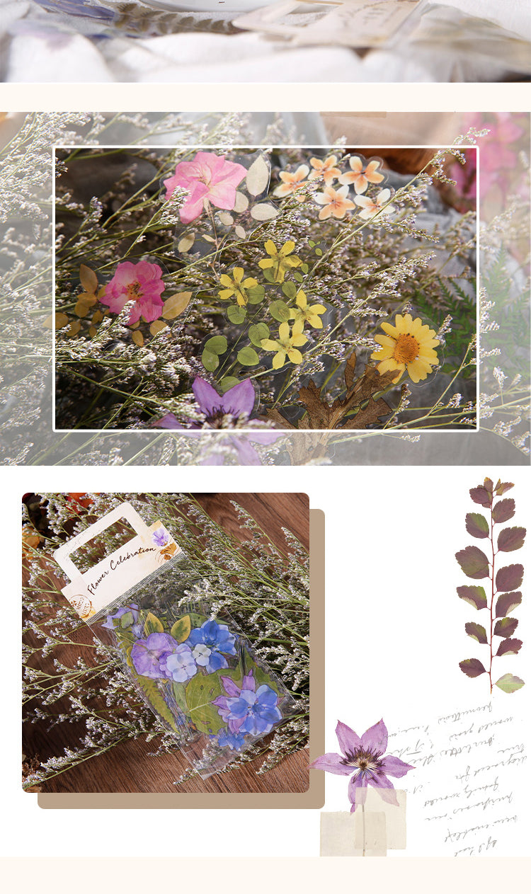5Product Display of Wild Field Flower Plant PET Sticker Pack3